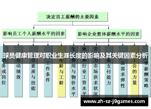 球员健康管理对职业生涯长度的影响及其关键因素分析