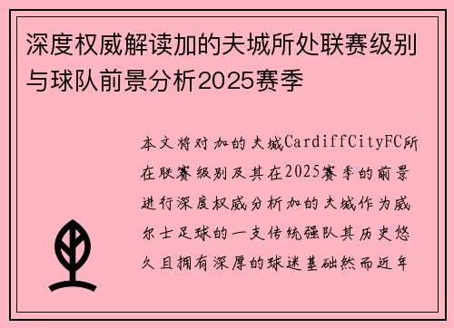 深度权威解读加的夫城所处联赛级别与球队前景分析2025赛季 深度权威解读加的夫城所处联赛级别与球队前景分析2025赛季